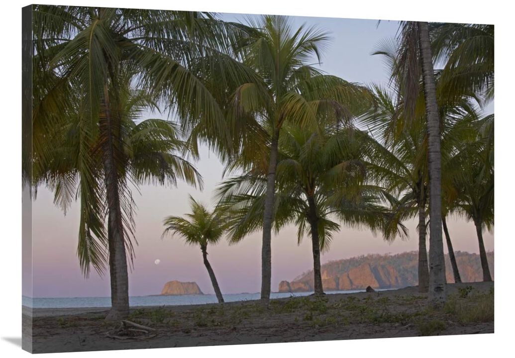 Moon setting, Playa Carillo, Guanacaste, Costa Rica-Canvas Art-40x30