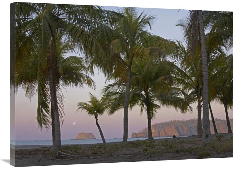 Moon setting, Playa Carillo, Guanacaste, Costa Rica-Canvas Art-40x30