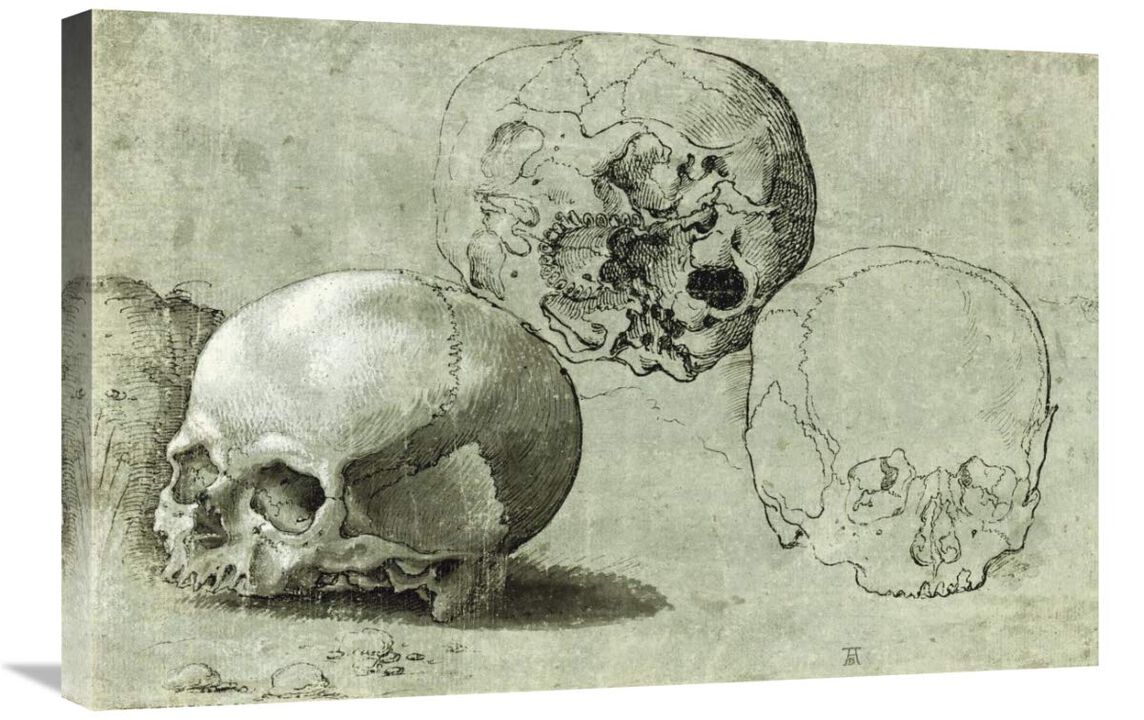 Study of Three Skulls-Canvas Art-30x20