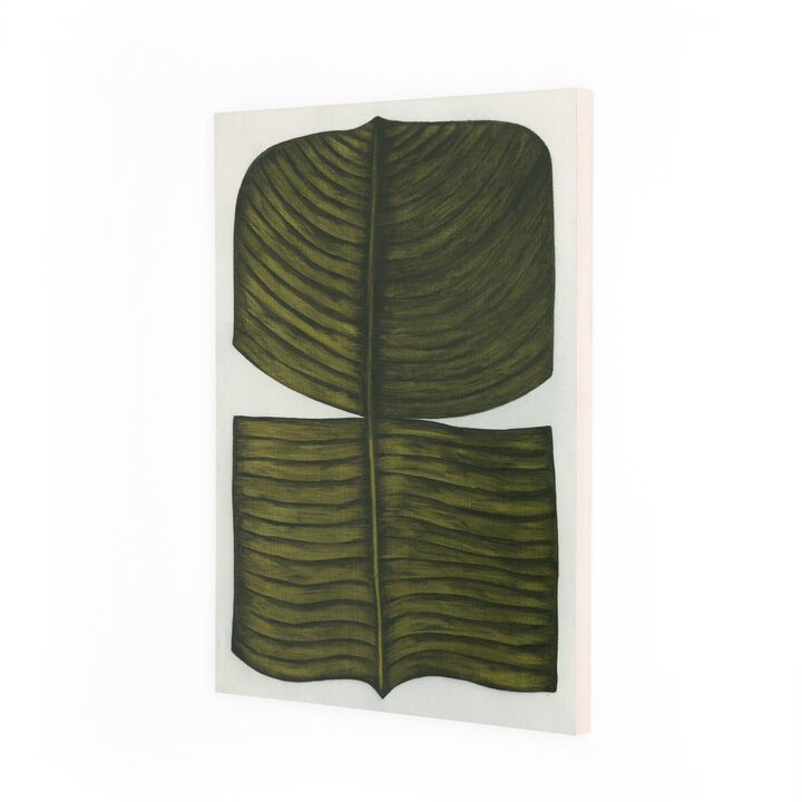 Ficus Elastica