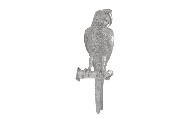 Parrot Looking Left Wall Art