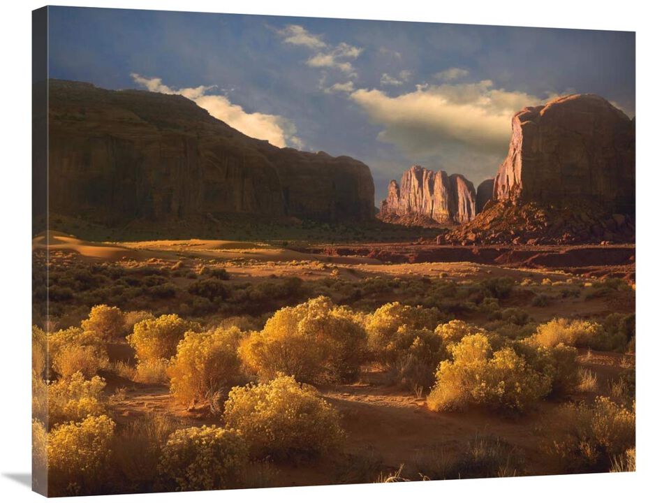 Camel Butte rising out of desert, Monument Valley, Arizona-Canvas Art-35x28
