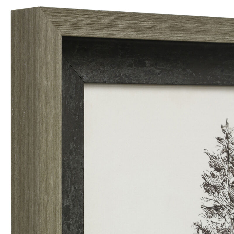 Pacific Northwest Tree I