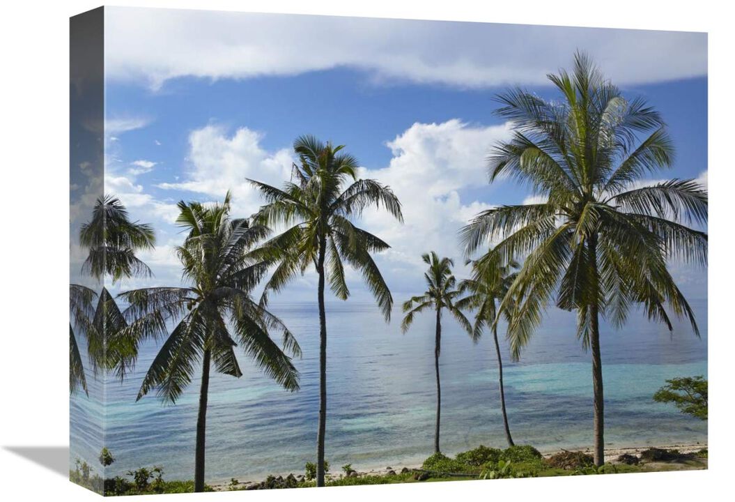 Coconut Palm trees, Bikini Beach, Panglao Island, Philippines-Canvas Art-16x12
