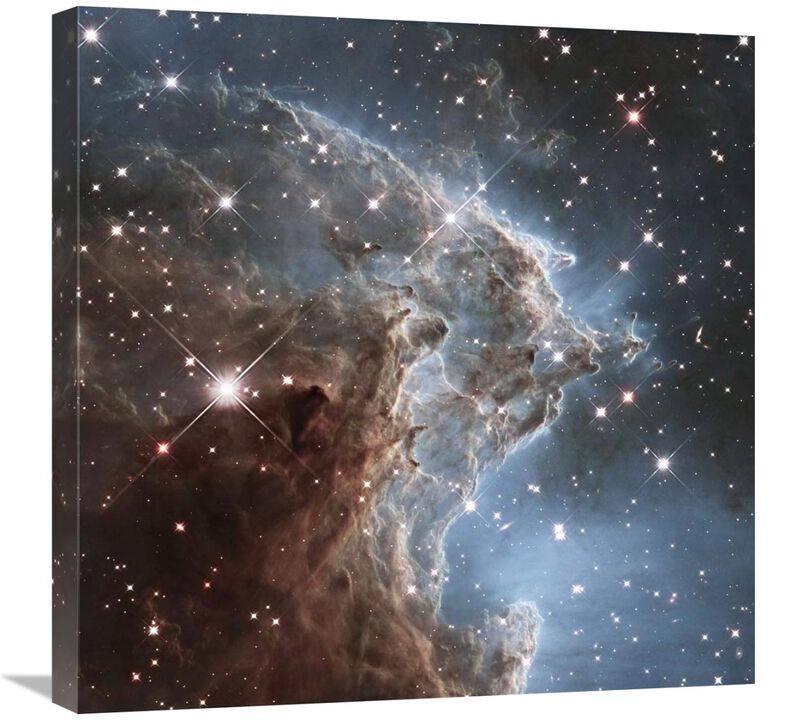 Infrared View of NGC 2174-Canvas Art-24x24
