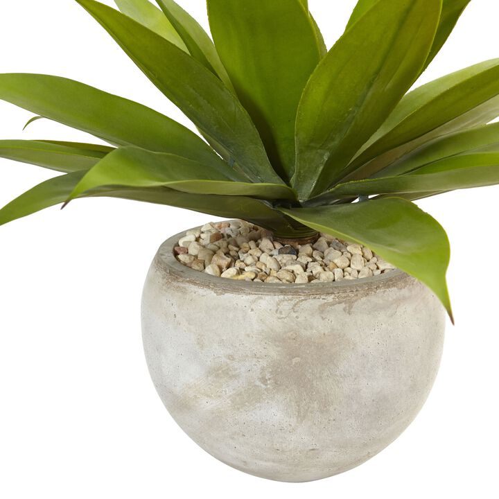 Hivvago Agave in Sand Colored Bowl
