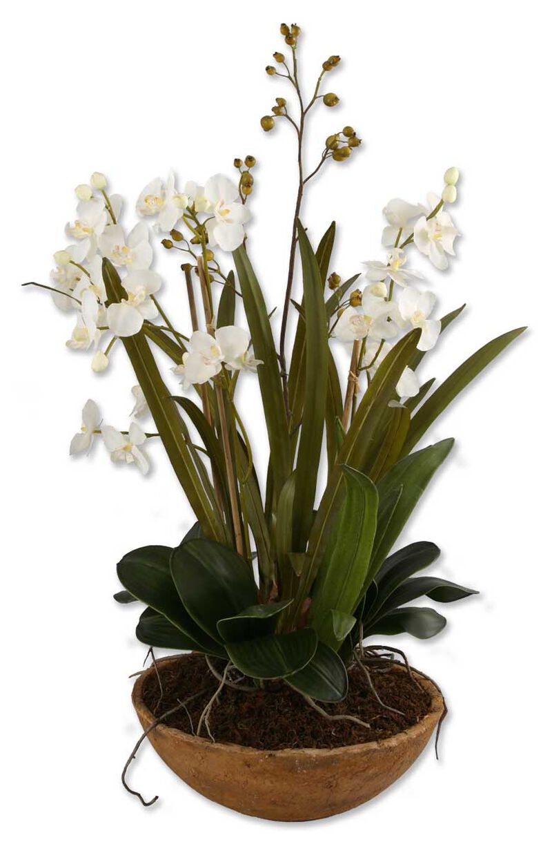 Uttermost Moth Orchid Planter