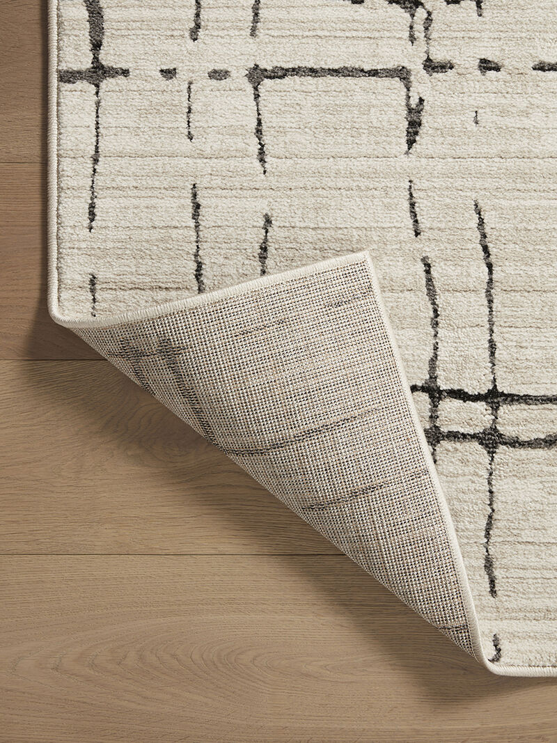 Darby DAR06 Collection by Loloi II