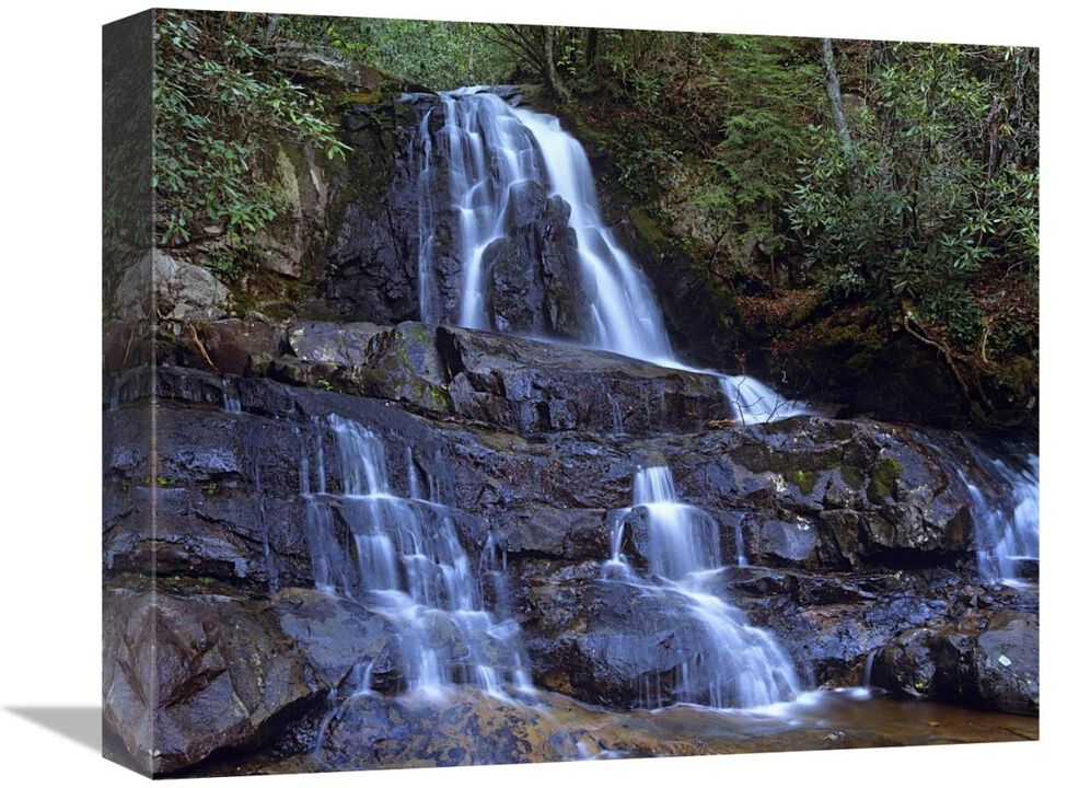 Waterfall, Laurel Creek, Great Smoky Mountains National Park, Tennessee-Canvas Art-16x13.28