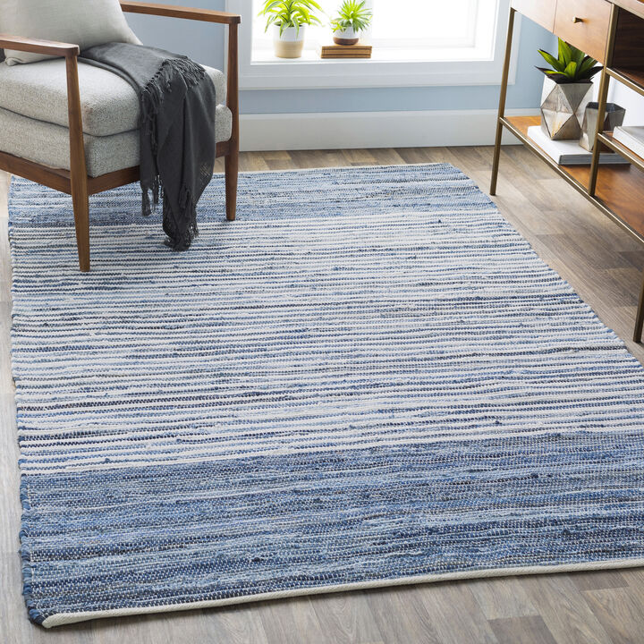 Denim DNM-1001 2' x 3' Blue Rug