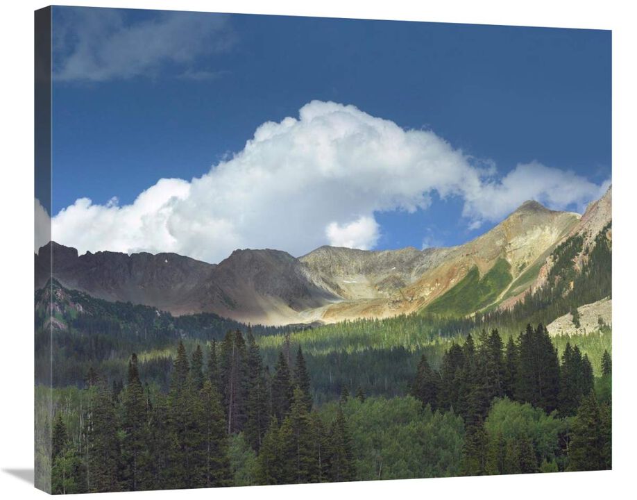 Elk Mountains near Crested Butte, Colorado-Canvas Art-30x25.2