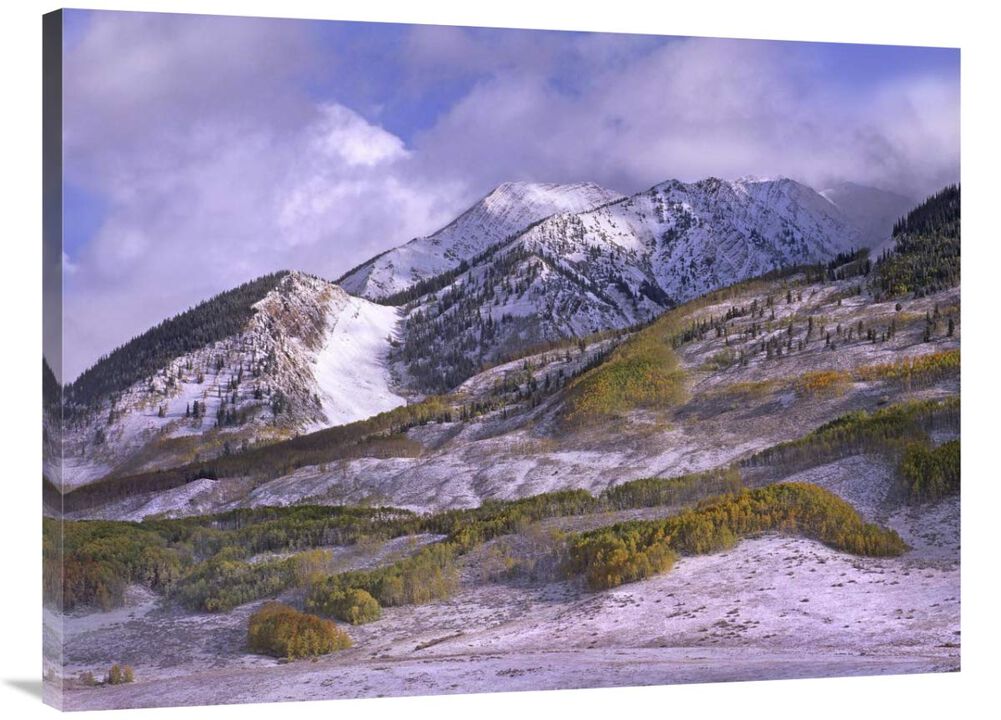Elk Mountains with snow in autumn, Colorado-Canvas Art-40x30