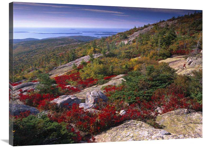 Atlantic coast from Cadillac Mountain, Acadia National Park, Maine-Canvas Art-40x30