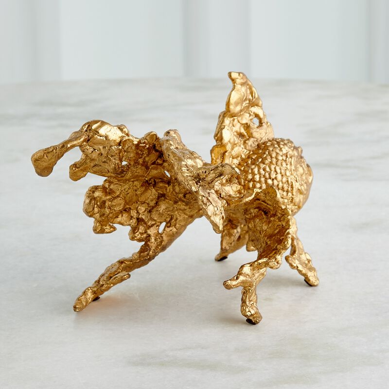 Angelfish-Gold