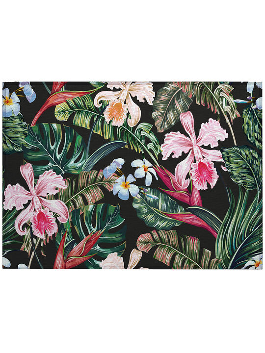 Tropics TC6 Collection