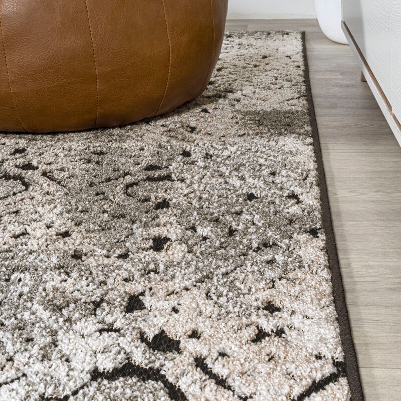 Duenas High-Low Shabby Damask Area Rug
