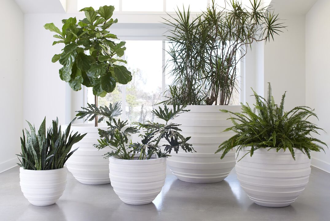 June Extra-Small Planter