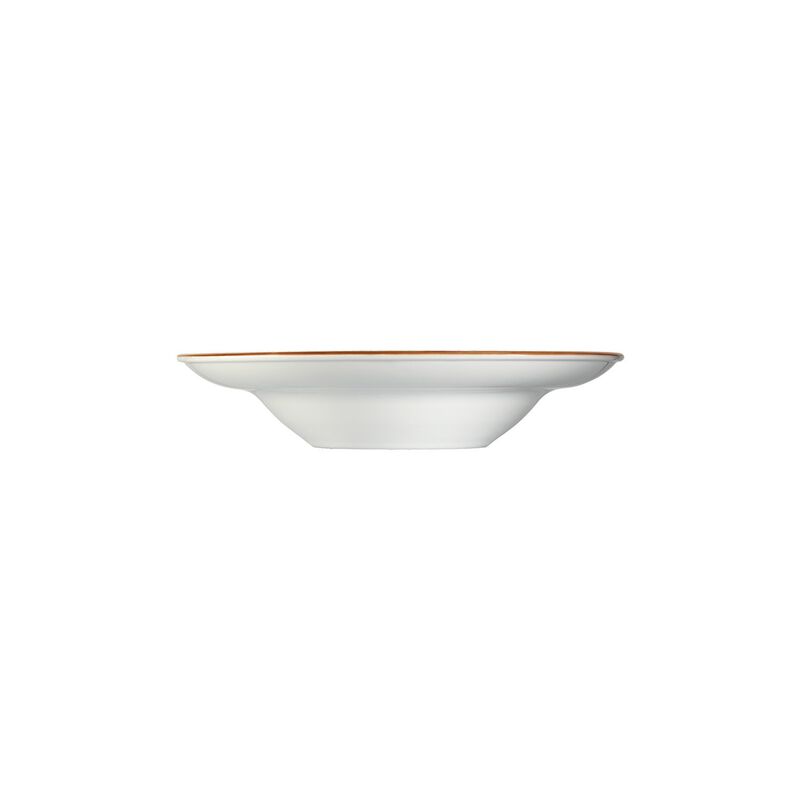 Terrain dia.11.75" h:2.5" 19 oz. Round Brown Porcelain Bowl (Set of 2)