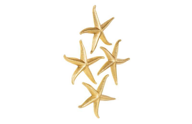 Starfish Large Set of 4