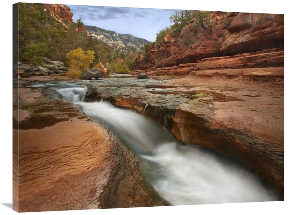 Oak Creek in Slide Rock State Park near Sedona, Arizona-Canvas Art-40x30