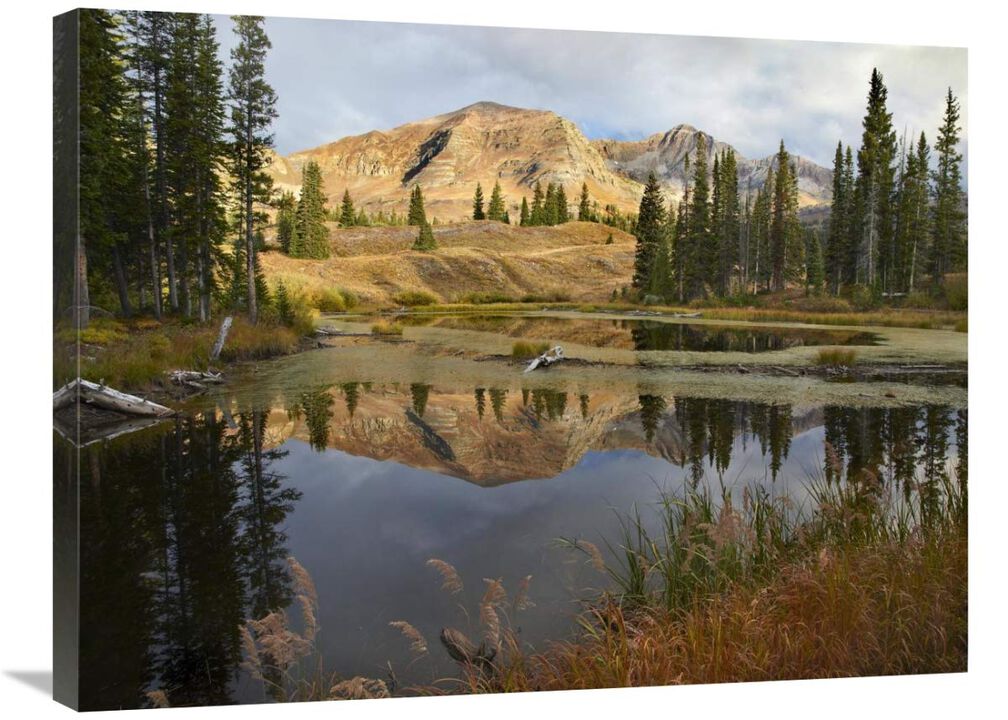 Ruby Range reflected in pond, Raggeds Wilderness, Colorado-Canvas Art-32x24