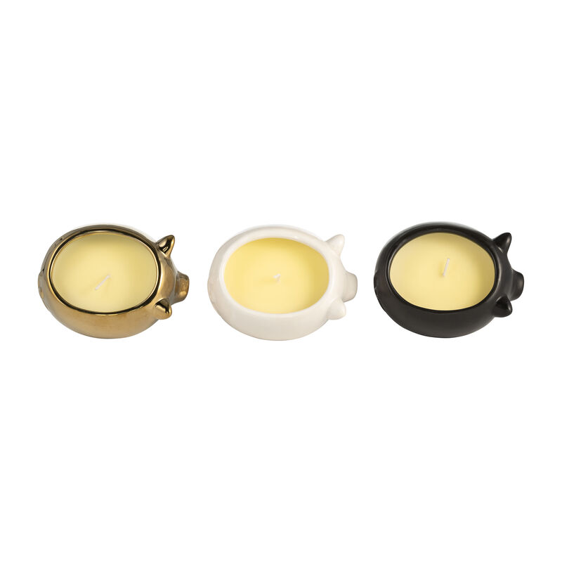 7" 9 Oz Vanilla Sandalwood Pig Candle Set