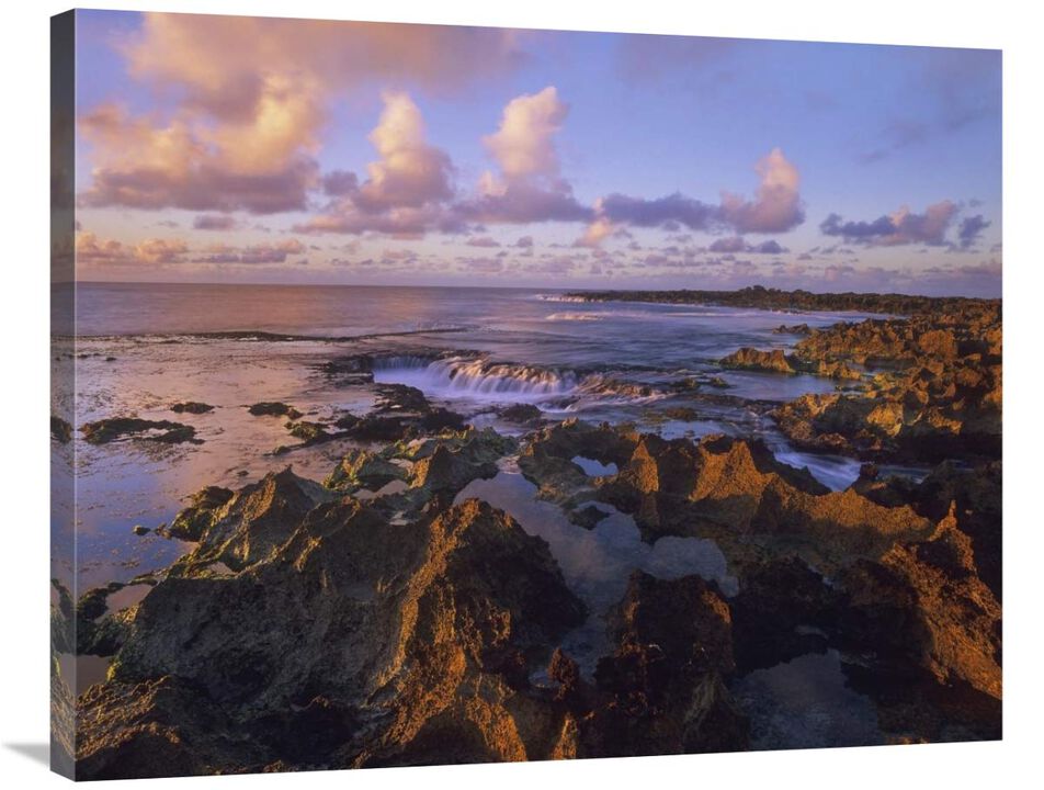 Dusk at Sharks Cove, Oahu, Hawaii-Canvas Art-35x28