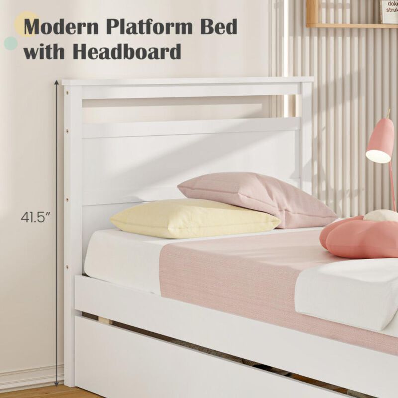 Hivvago Wooden Bed Frame with 2 Drawers for Teens and Adults