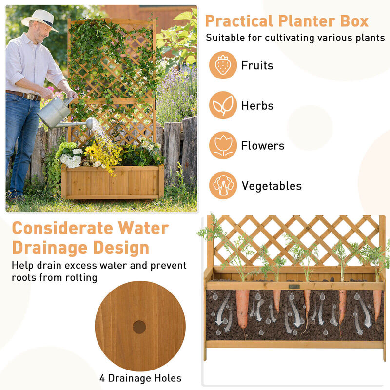 Planter Raised Bed with Trellis for Plant Flower Climbing