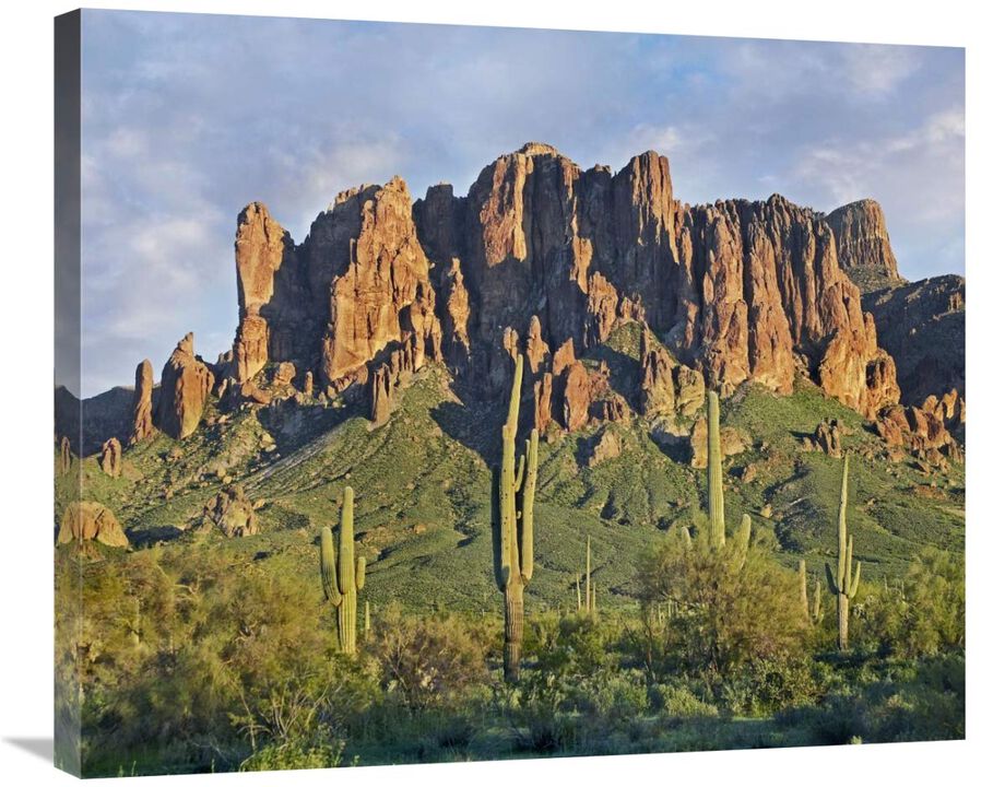 Saguaro cacti and Superstition Mountains, Lost Dutchman State Park, Arizona-Canvas Art-30x24.9