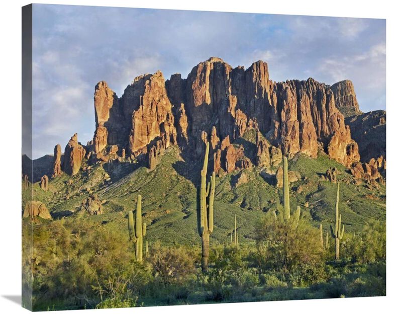 Saguaro cacti and Superstition Mountains, Lost Dutchman State Park, Arizona-Canvas Art-30x24.9
