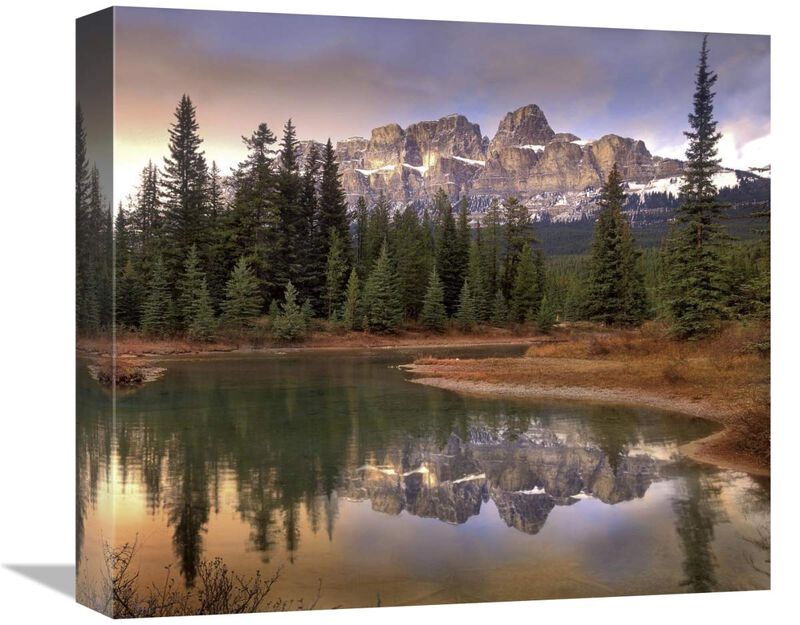Castle Mountain and boreal forest reflected in lake, Banff National Park, Alberta-Canvas Art-16x14.24