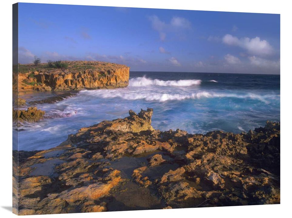 Pacific Ocean waves and cliffs at Keoneloa Bay, Kauai, Hawaii-Canvas Art-40x30