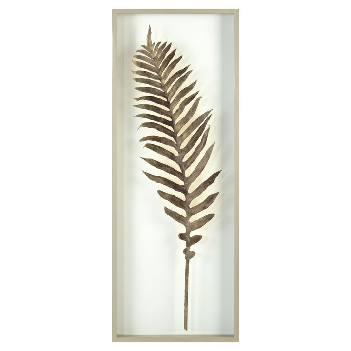 The Midas Fern II