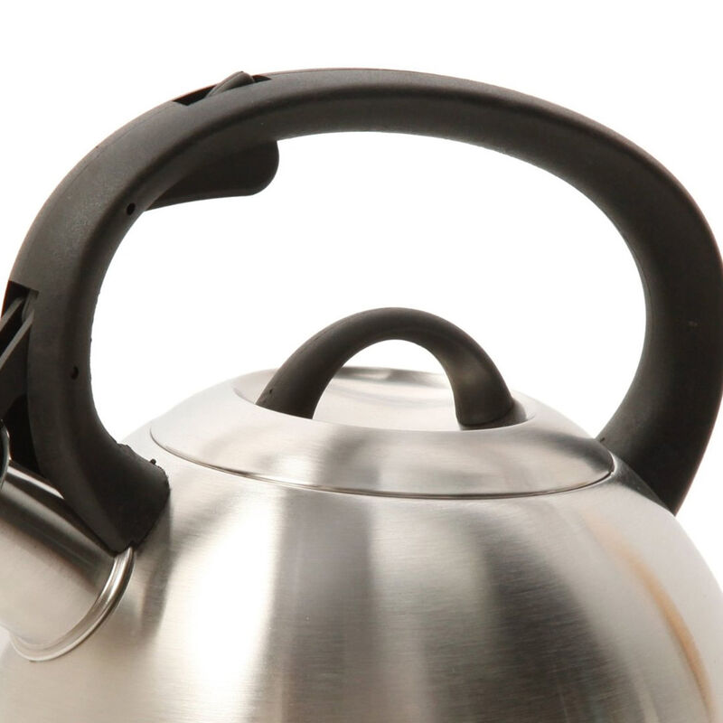Mr. Coffee Flintshire 1.75 Qt. Stainless Steel Whistling Tea Kettle