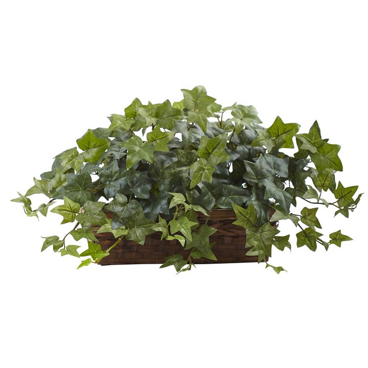 Hivvago Puff Ivy w/Ledge Basket