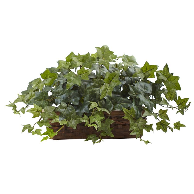 Hivvago Puff Ivy w/Ledge Basket