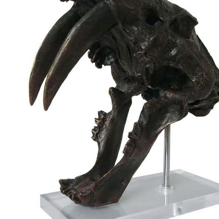 Rimaa Sabertooth Tiger Tabletop Decor, Black Resin, Acrylic, 13 Inch - Benzara