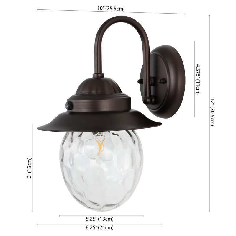 Rodanthe 1-Light Farmhouse Industrial Iron/Glass Outdoor LED Sconce