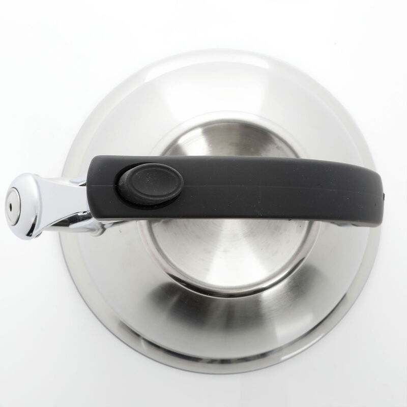 Mr Coffee Collinsbrook 2.4 Quart Stainless Steel Whistling Tea Kettle