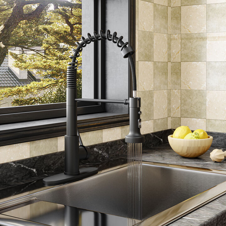 Mondawe 2 Modes Spring Kitchen Sink Faucet with Pull Down Sprayer, Single Handle Sink Faucet RV Kitchen Faucet with Deck Plate