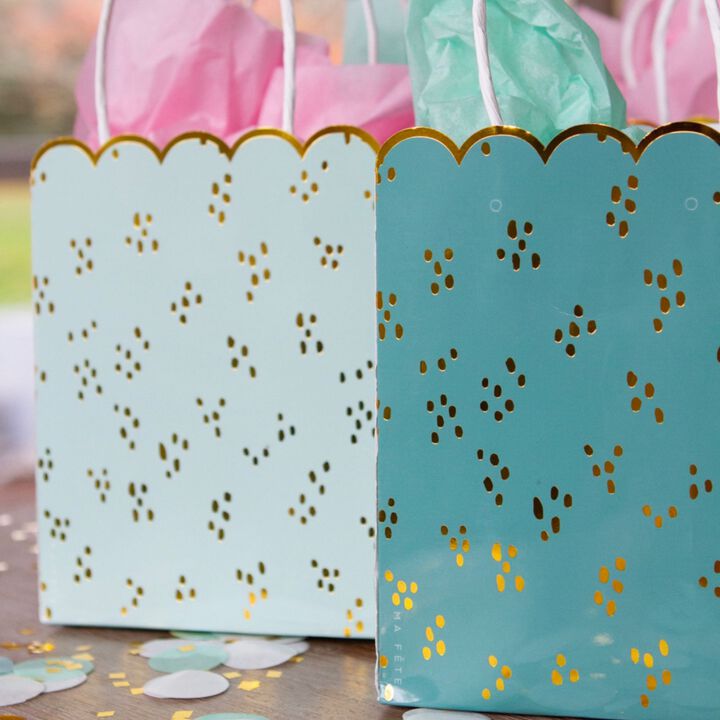 Ma Fete Fun Fair Paper Gift  Bags For Favors (8)