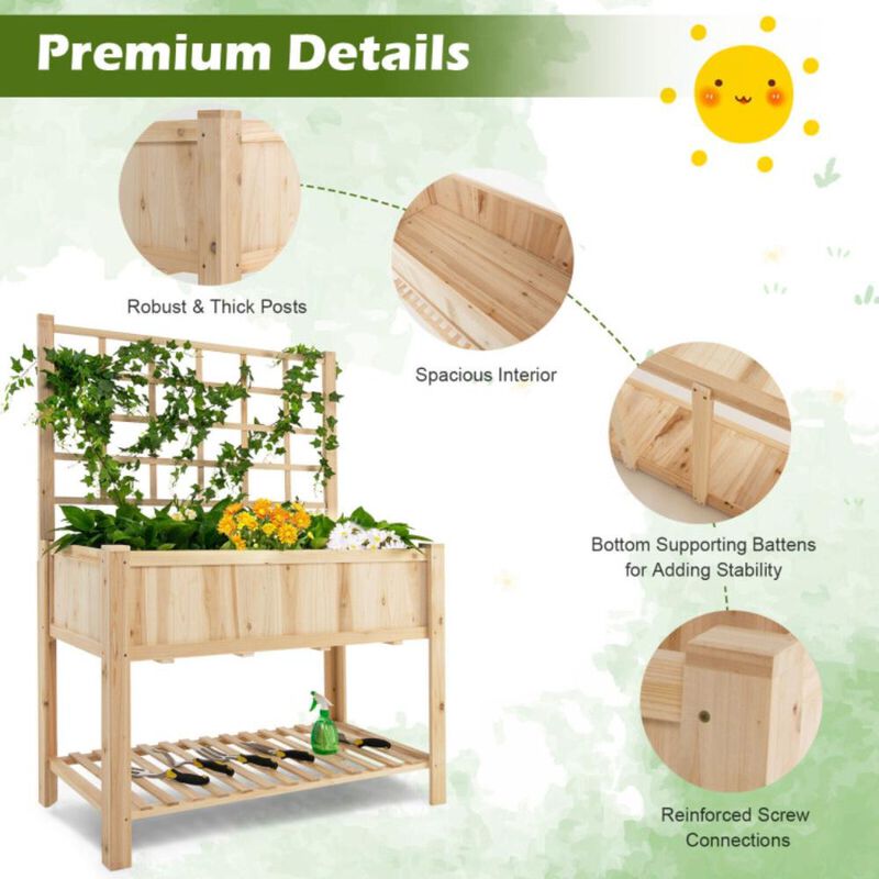Hivvago Raised Garden Bed Elevated Wooden Planter Box with Trellis