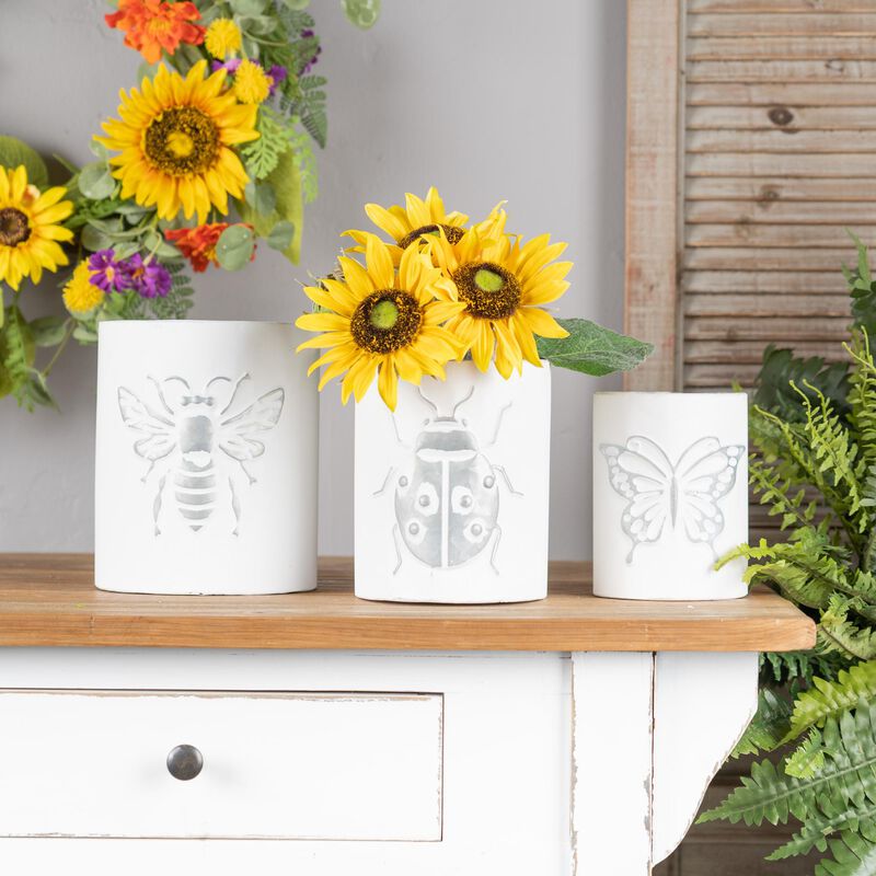 Brushed Insect Pot for Unique Plant Display and Garden Décor  (Set of 3)