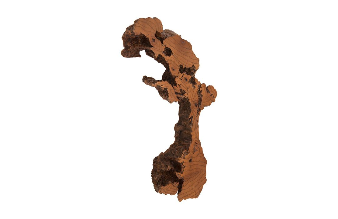 Burled Root Medium Wall Art