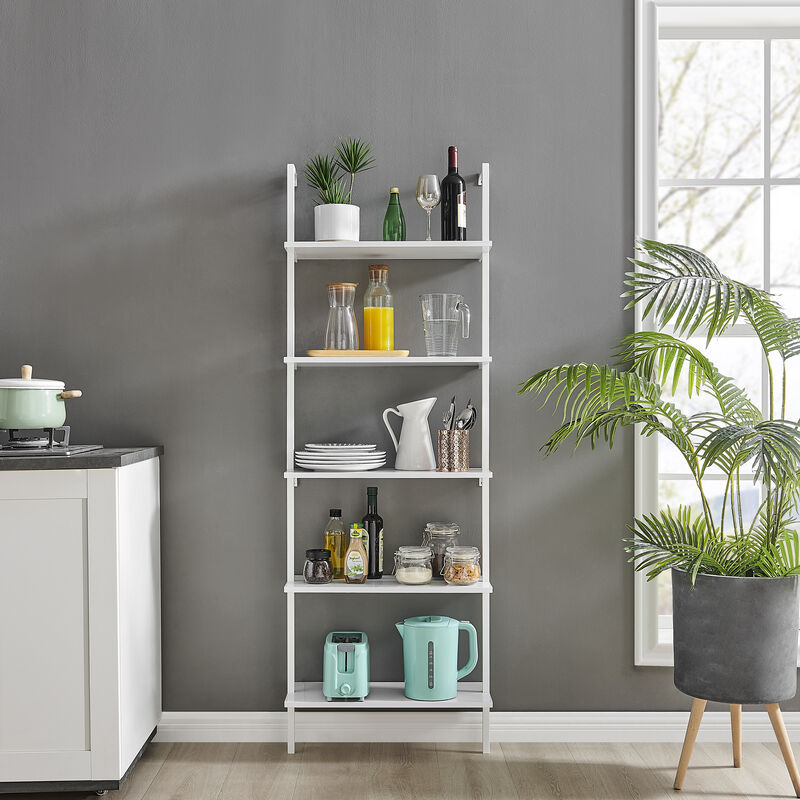 Everett 5-Tier Open Display Stand Wall Mount Modern Metal Frame Ladder Shelf
