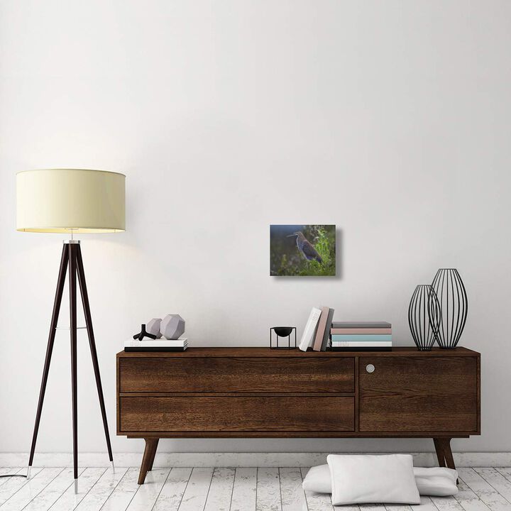 Bare-throated Tiger Heron portrait, Costa Rica-Canvas Art-16x12