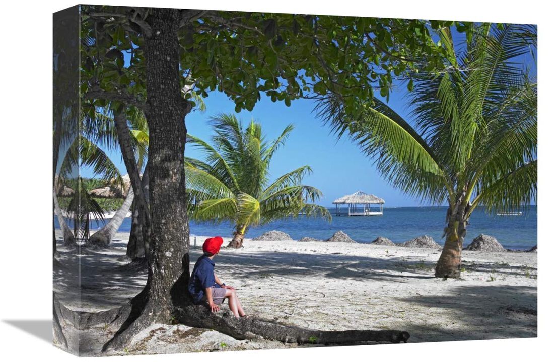 Tourist resting under palm trees on beach at Palmetto Bay, Roatan Island, Honduras-Canvas Art-16x12