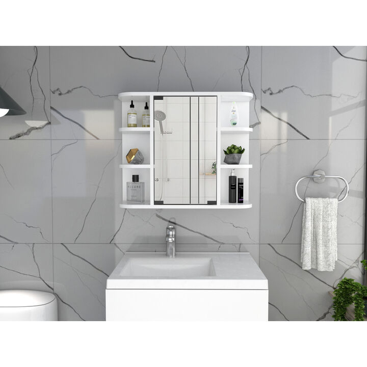 Roseburg 6-Shelf Medicine Cabinet With Mirror