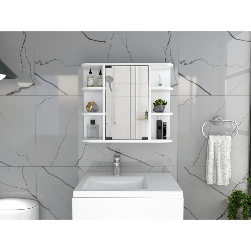 Roseburg 6-Shelf Medicine Cabinet With Mirror